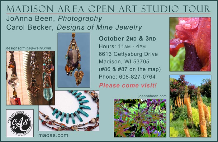 JoAnna Been and Carol Becker Art Studio Tour